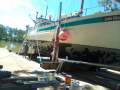 Lacco Timber Cruiser