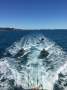 Precision Marine 57 Charter