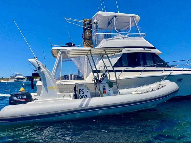 Searano 580 Perfect Rotto tender Rib / family fun all rounder