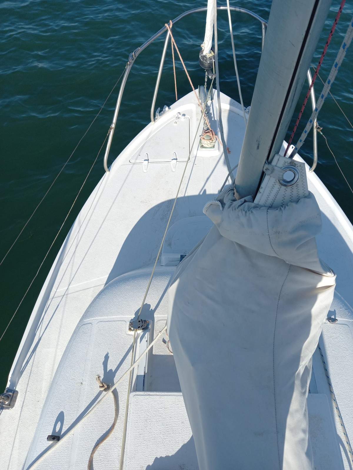 Savage Nautilus Nautilus 19