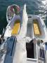Savage Nautilus Nautilus 19