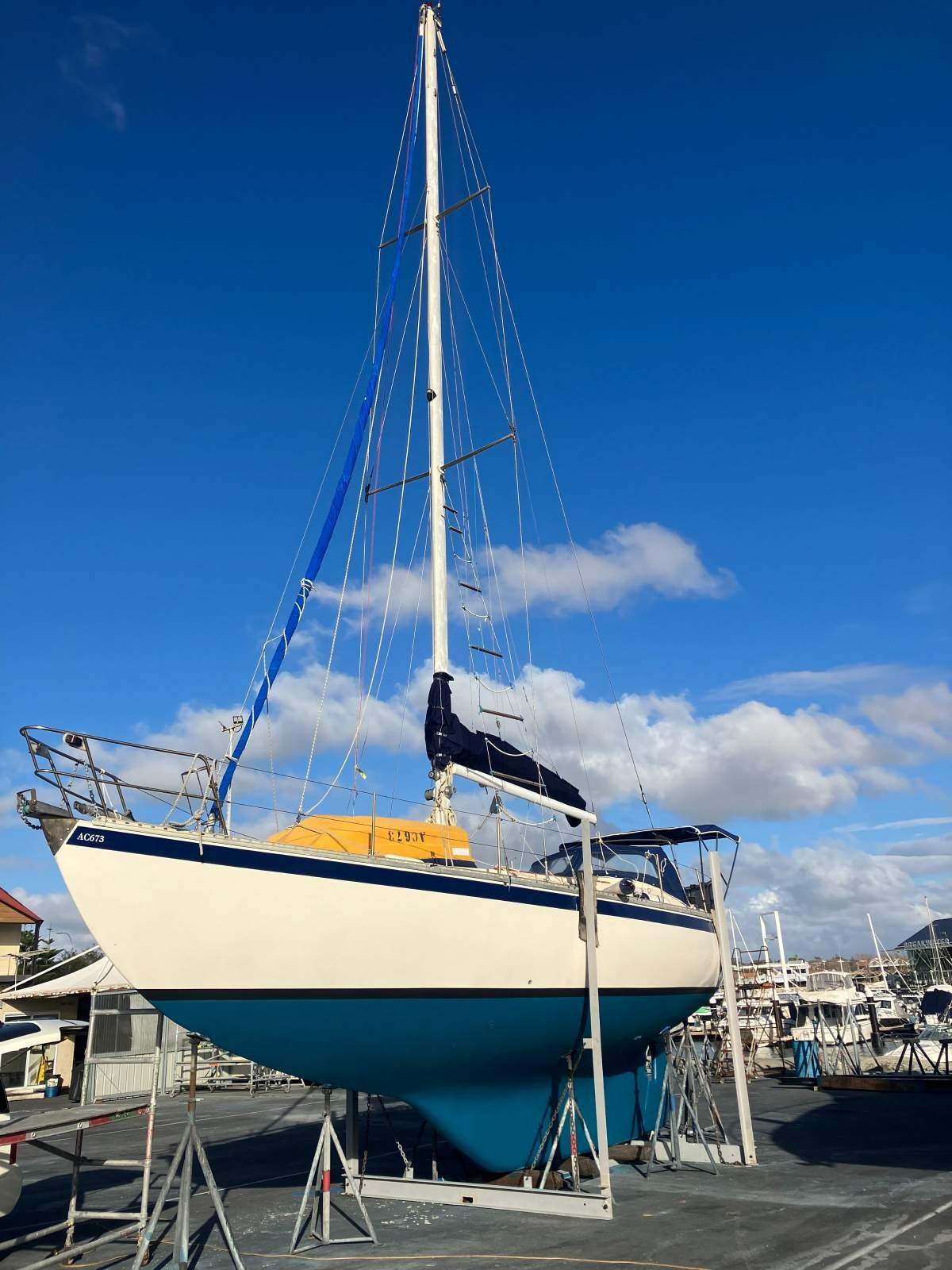 Swanson 38