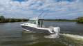 Boston Whaler 315 Conquest Pilothouse