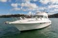 Genesis 400 Flybridge