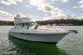 Genesis 400 Flybridge