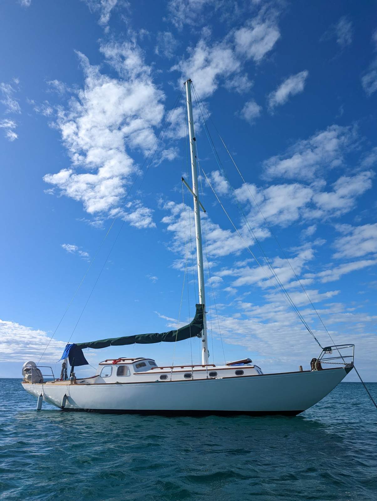 Alan Payne Tasman SeaBird
