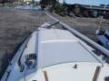 Noelex 25