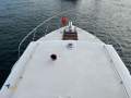 Williams Timber Cruiser 34