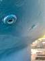 Swanson 36 Cruising/racing sailing sloop