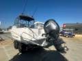 New Evolution 552 Platinum