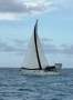 Beneteau 38