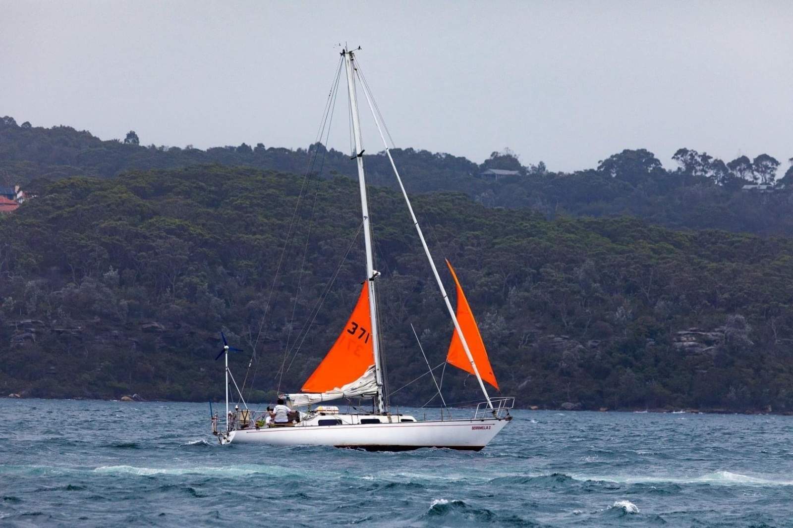 Brolga 33
