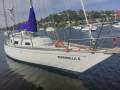 Brolga 33