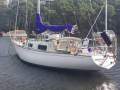 Brolga 33