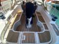 Beneteau 423