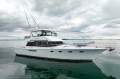 Don Senior 15.2 Sportsfisher