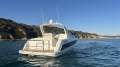 Mustang 3800 LE Sportscruiser