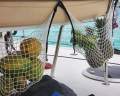 Fountaine Pajot Orana 44