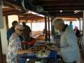 CALOUNDRA CRUISE BUSINESS - SUNSHINE COAST