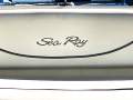 Sea Ray 225 Weekender With Rack Storage and Road Trailer