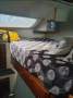 Crowther Sailing Catamaran