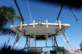 Seaswirl Striper 2601 Walk Around