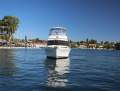 Caribbean 35 Flybridge Cruiser *** FAMILY FRIENDLY BOATING *** $149,000 ***