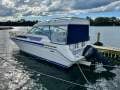 Sea Ray 270 DA