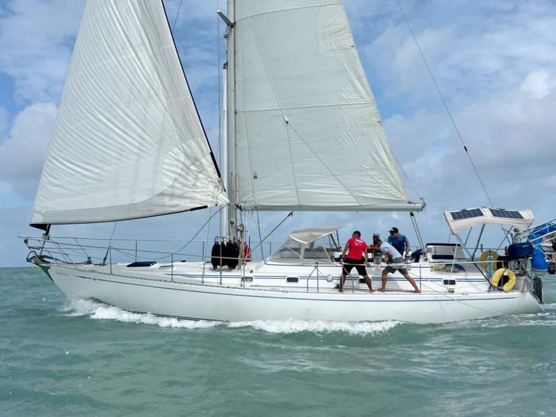 Warwick Cardinal 46