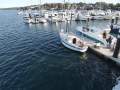 Compass Yachts 29