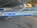 New Sea Jay 4.28 Avenger Sports Boat, Motor & Trailer Package