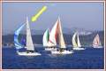 Sirena 38