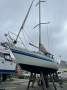 Sirena 38