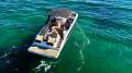 Sea Ray 290 SDX