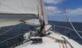 Raven 31 - A Great Value Yacht!