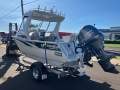 New Extreme 560 Game King Boat, Motor, Trailer Package