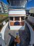 Gold Island 40 Sundeck