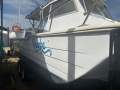 Tradewinds 8M