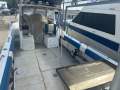 Tradewinds 8M