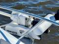 Surtees 650HT Gamefisher