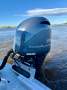 Surtees 650HT Gamefisher