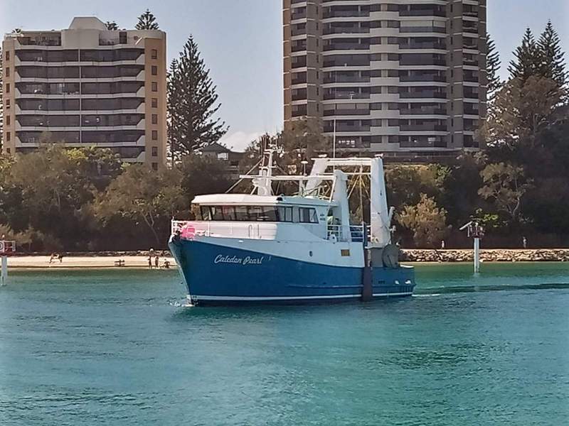 TS632 19.9m Trawler Caledon Pearl