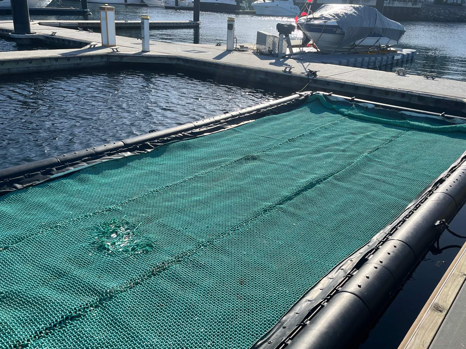 8.5m SeaPen in Good Condition