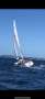 Bavaria 44