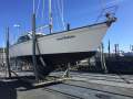 Zeston 40