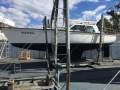 Zeston 40