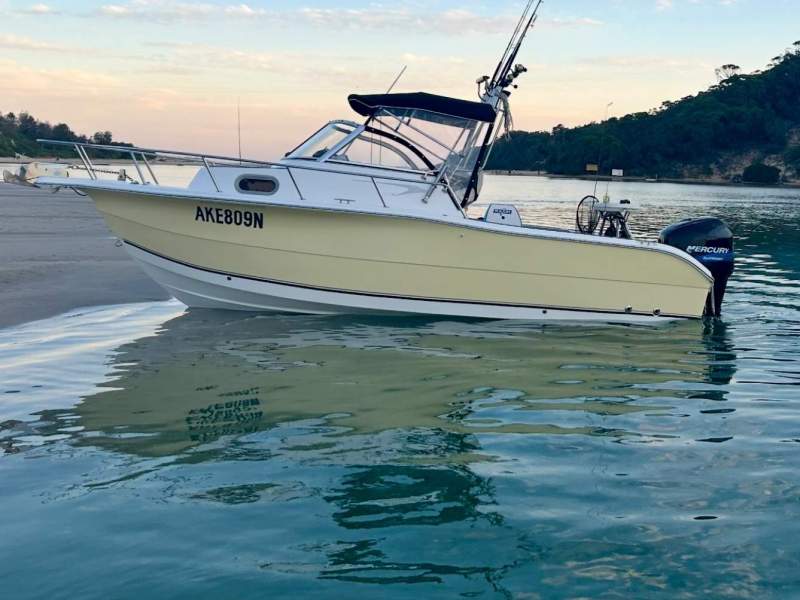 Sea Pro 238 WA