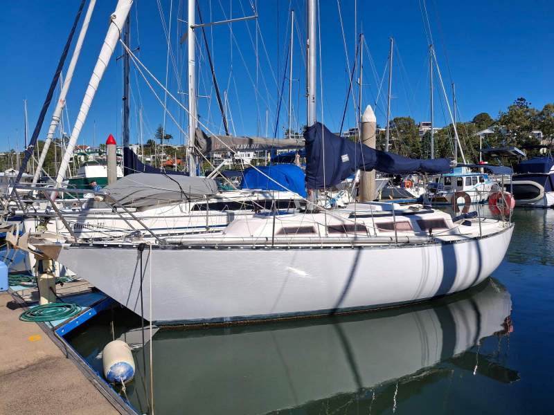 Adams 31