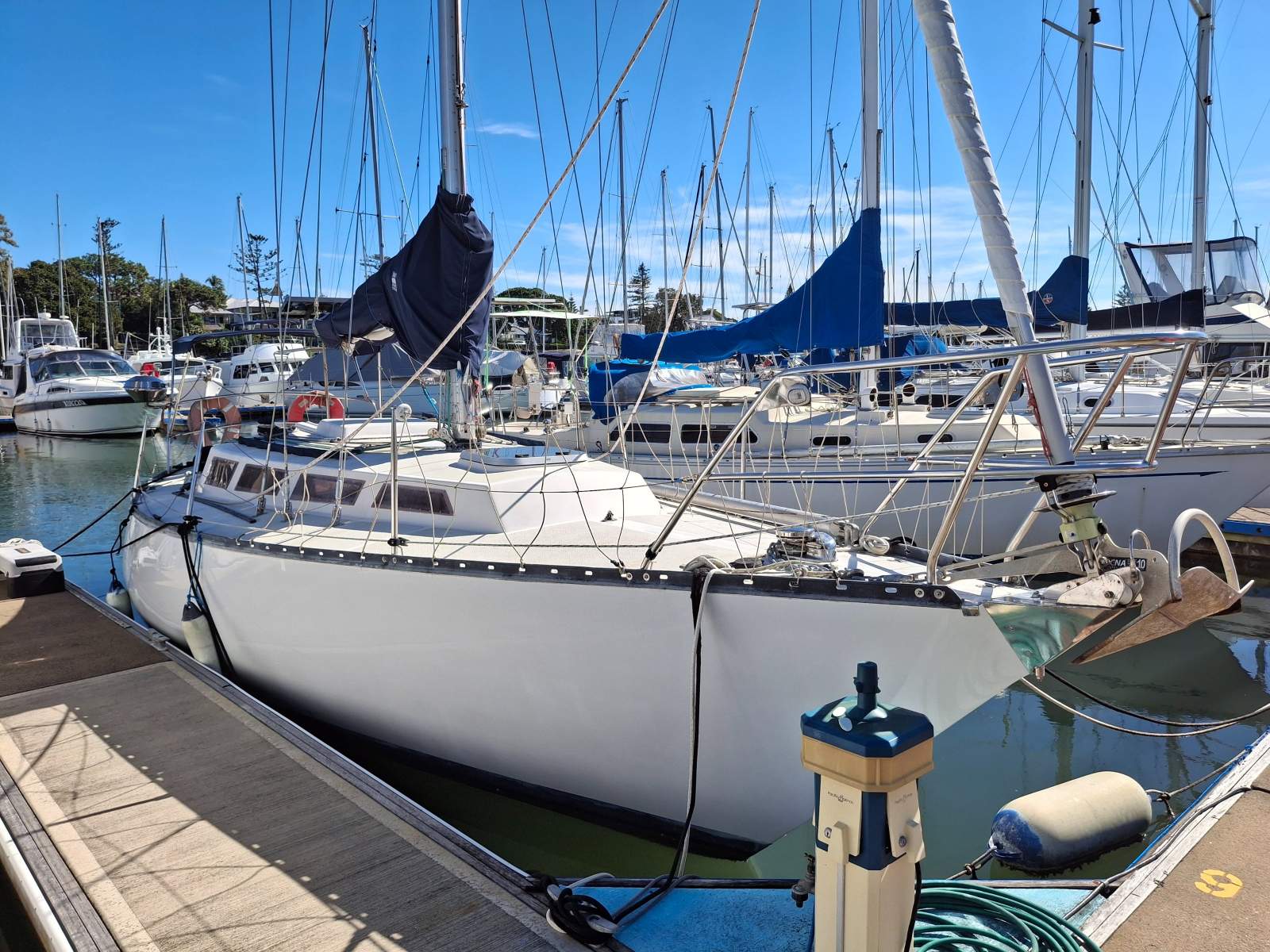 Adams 31