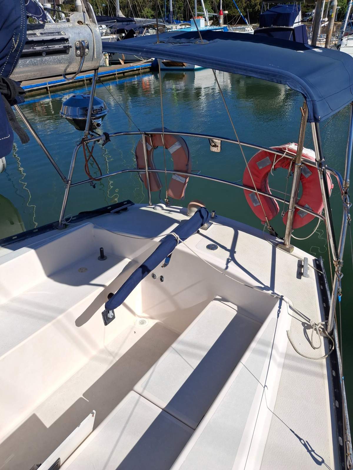 Adams 31